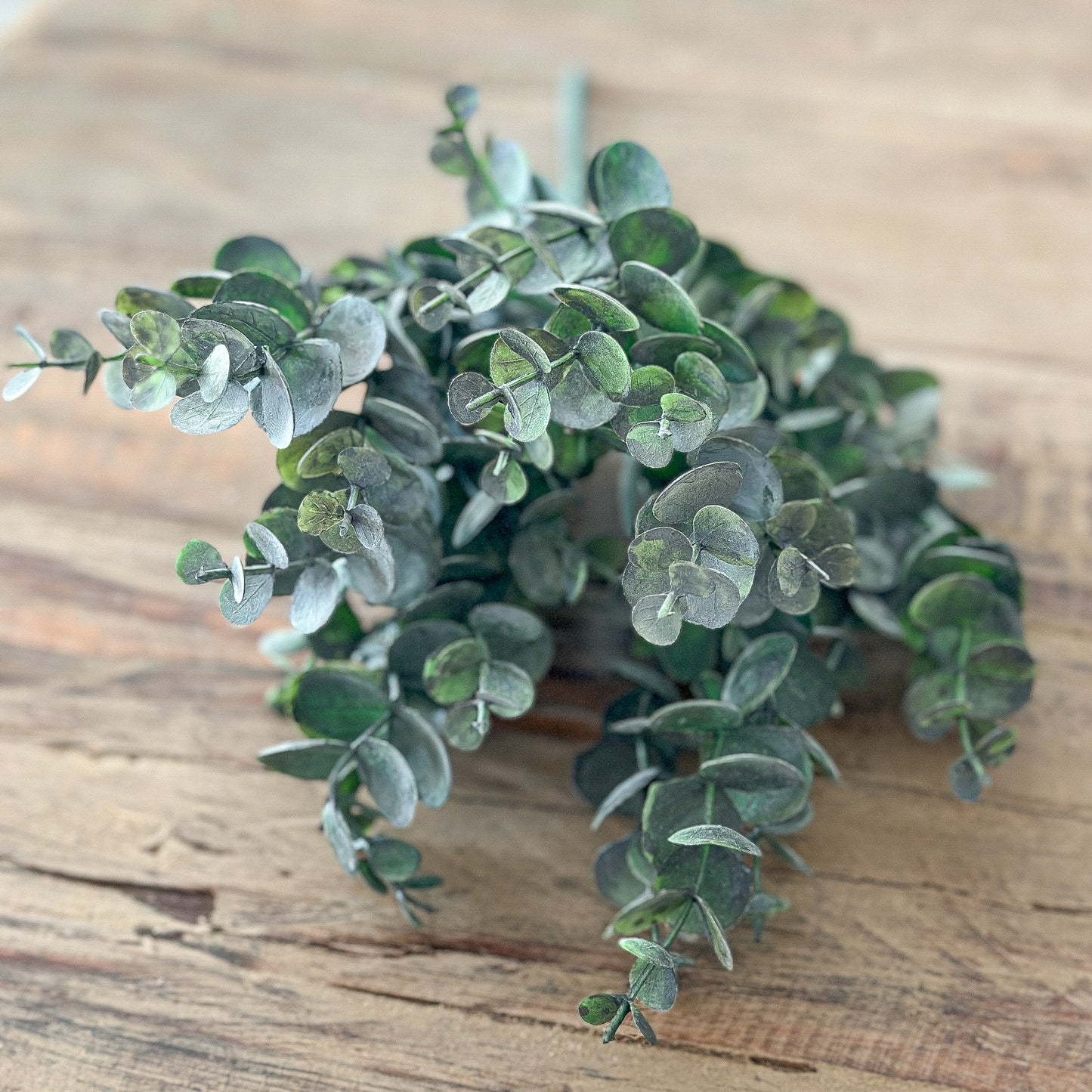 Künstlicher Eukalyptus Zweig Busch, 34 cm, grüne Kunstpflanze von Wohnen auf dem Land, detailreiche Nachbildung, ideal für Dekoration