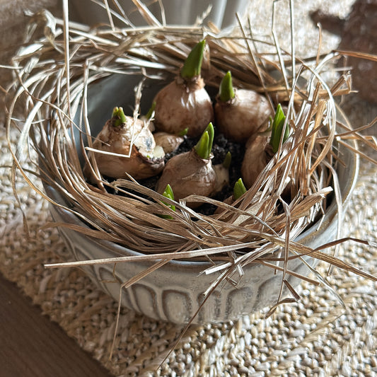 Schale Mini Bowl "Petite Joie" Keramik Grau 11cm