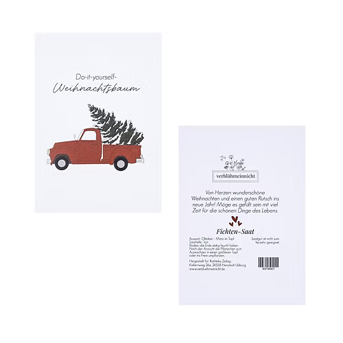 Fichten-Saat - Do-it-yourself-Weihnachtsbaum - Wohnen auf dem Land