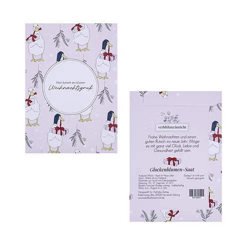 Glockenblumen-Saat - Hier kommt ein kleiner Weihnachtsgruß - Wohnen auf dem Land