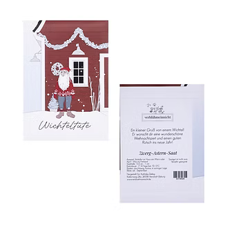 Zwerg-Astern-Saat - Wichteltüte - Wohnen auf dem Land