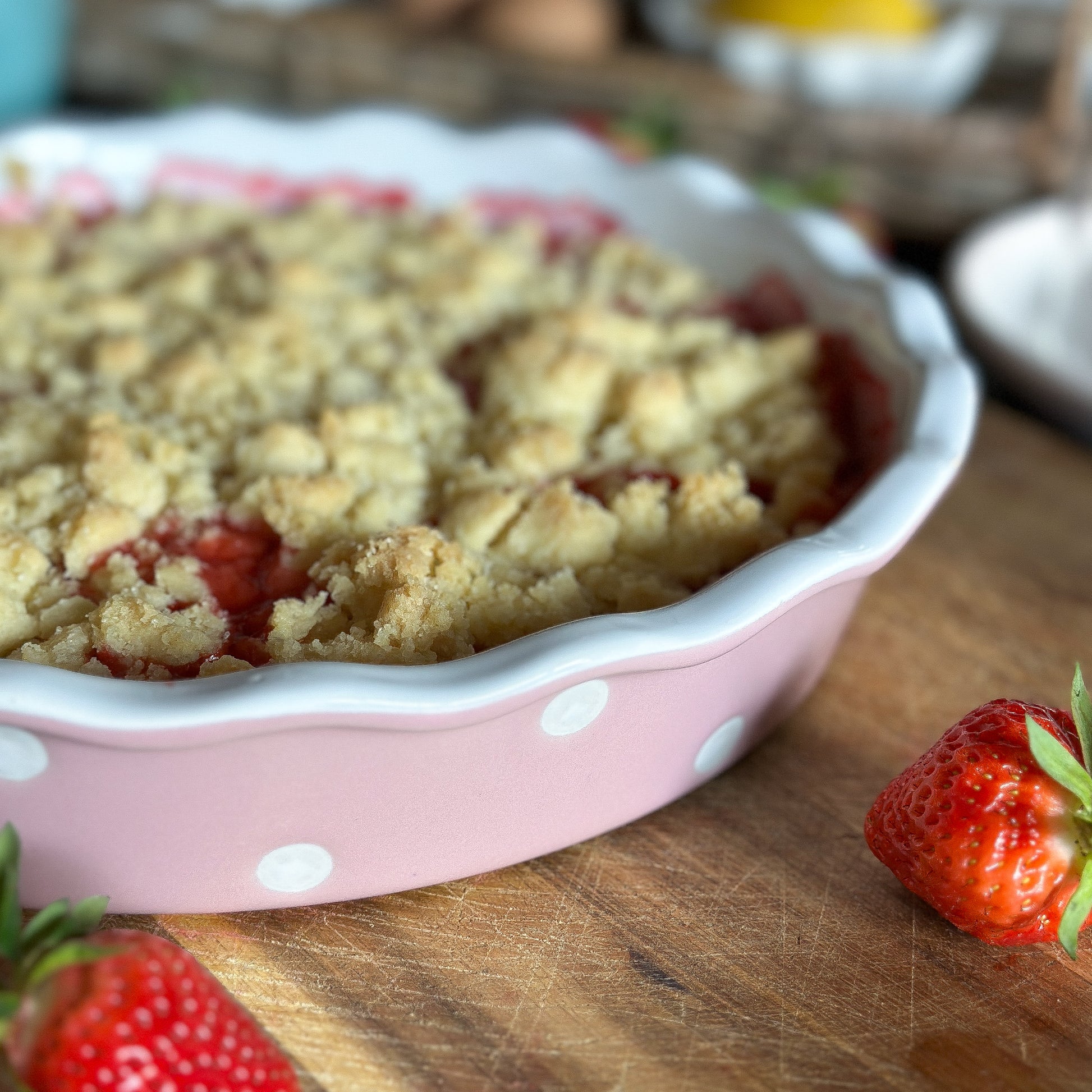Auflaufform Backen Schale "Polka Dots" Keramik Mittel 27cm - 2 Farben - Wohnen auf dem Land
