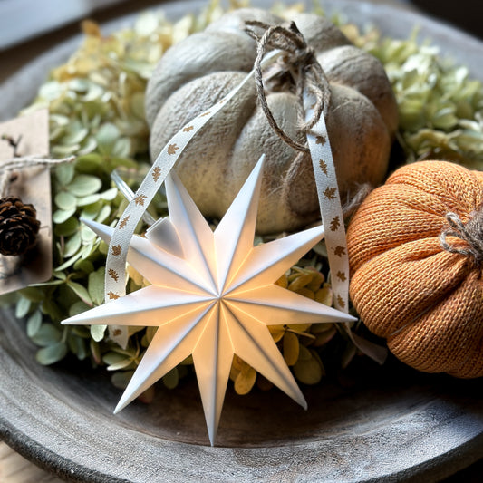 LED Einzelstern "Fenster-Stern" 9 Zacken Indoor/Outdoor Weiß 11.5cm - Wohnen auf dem Land