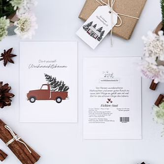 Fichten-Saat - Do-it-yourself-Weihnachtsbaum - Wohnen auf dem Land