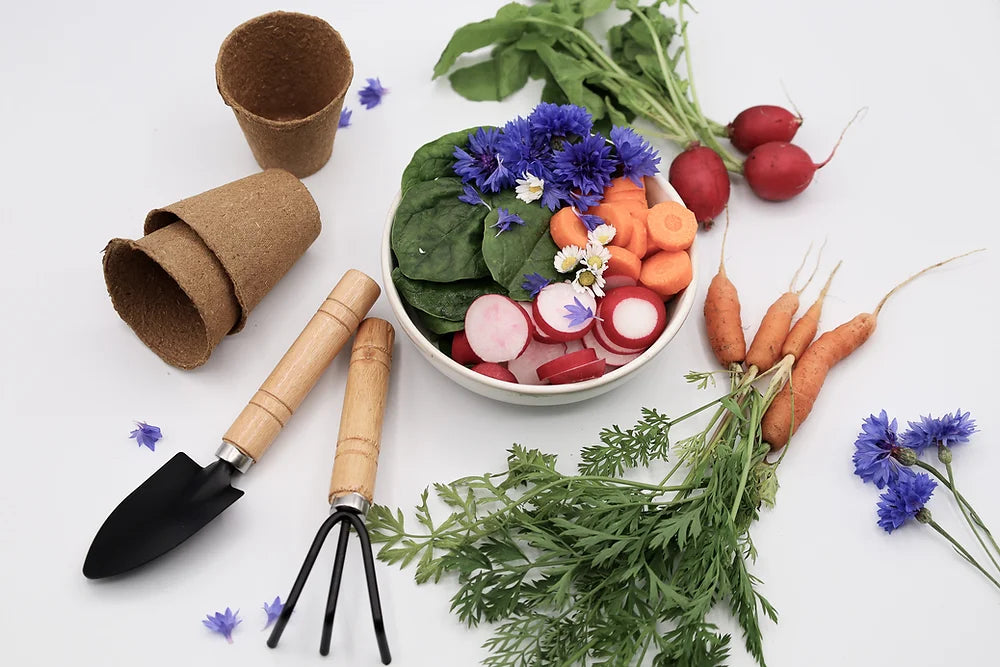 Gemüse-Blumenmischung - Die kleinen Dinge im Leben - Wohnen auf dem Land