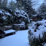 Instagram-Highlight: Winter ☃️