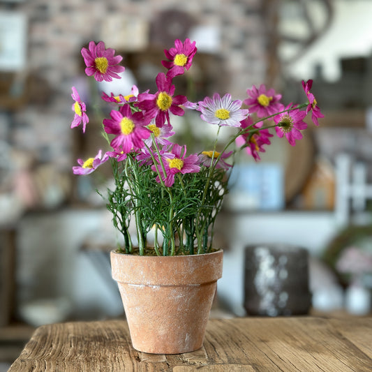 Blume Topf "Terracotta Daisy" Gänseblümchen künstlich 3 Farben 20cm - Wohnen auf dem Land