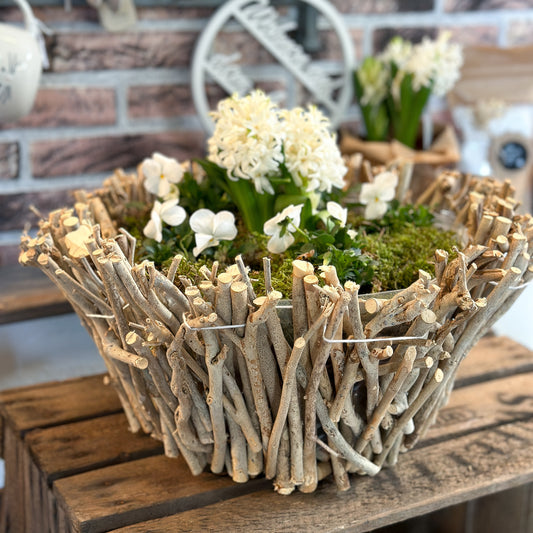 Pflanzschale Pot "Wildwood" Holz Natur Braun Groß 37cm - Wohnen auf dem Land