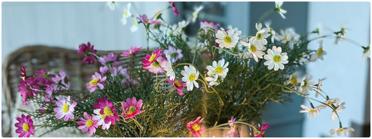 Gänseblümchen! 🌼 Blumen-Liebe, die bleibt! 💕 – Wohnen auf dem Land