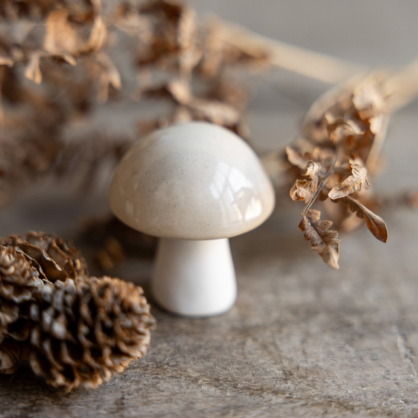 Deko Pilz "Bovik" Keramik glasiert Beige rund