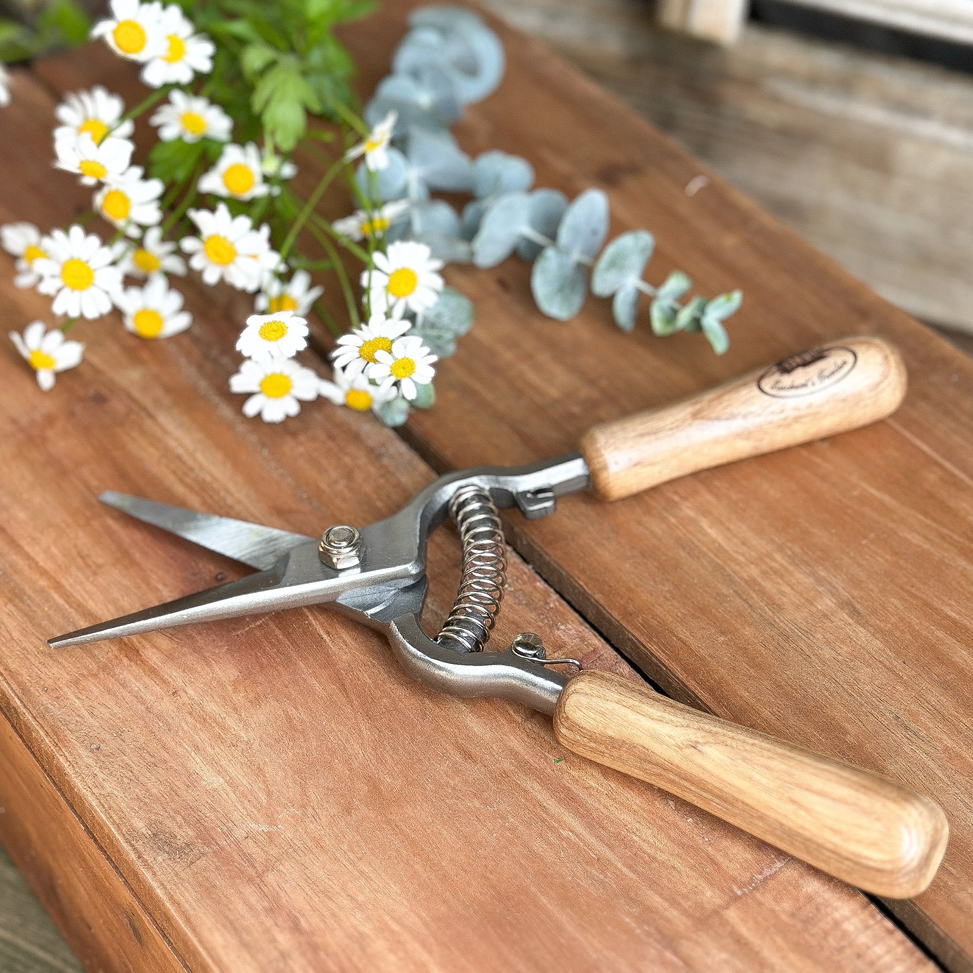 Gartenschere mit Stahlklinge und Holzgriff, 21 cm, für Gartenarbeit, von Wohnen auf dem Land, im grünen Gartenumfeld