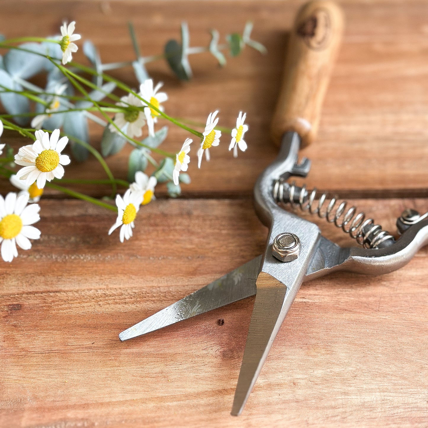 Blumenschere mit Stahlklinge und Holzgriff, 21 cm, Gartenzubehör von Wohnen auf dem Land, für Gartenarbeit und Pflanzenschneiden