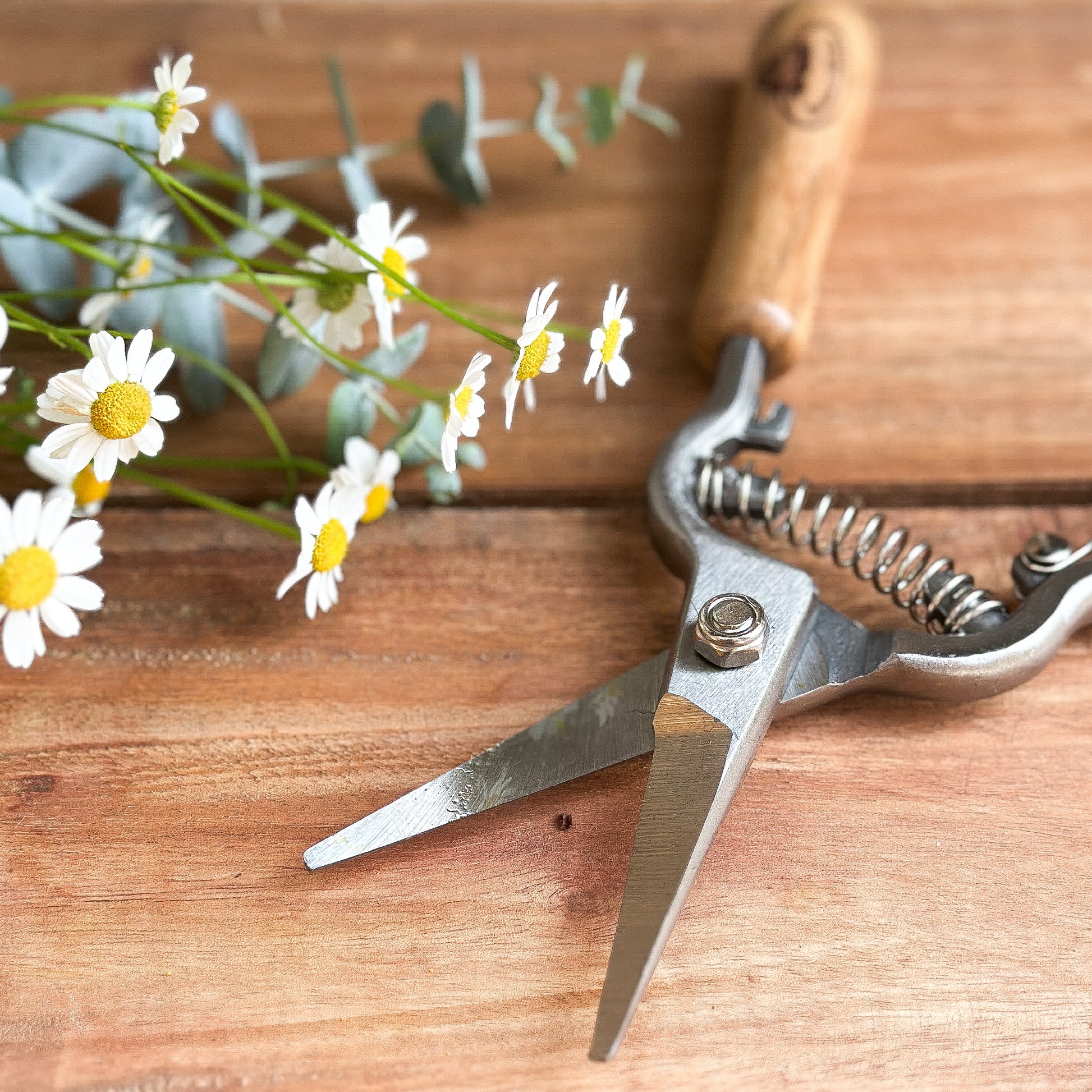 Blumenschere mit Stahlklinge und Holzgriff, 21 cm, Gartenzubehör von Wohnen auf dem Land, für Gartenarbeit und Pflanzenschneiden