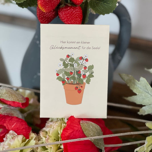 Wald-Erdbeeren-Saat - Hier kommt ein kleiner Glücksmoment!