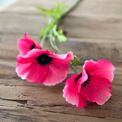 Künstlicher Blumen Zweig "Summer Poppy" in 2 Farben, 63 cm, von Wohnen auf dem Land, mit roten und orangefarbenen Blüten.