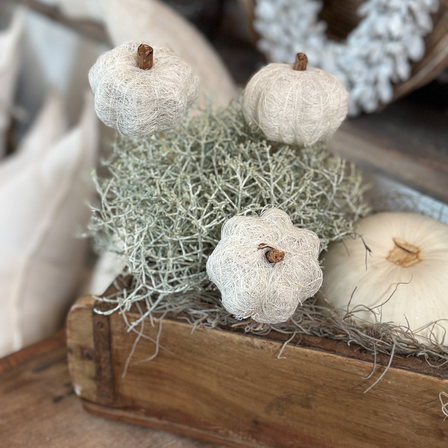 Deko Kürbisse zum Stecken "Kürbis Trio" Sisal creme weiß 3er Set