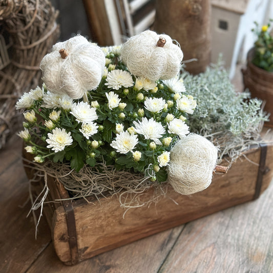 Deko Kürbisse zum Stecken "Kürbis Trio" Sisal creme weiß 3er Set
