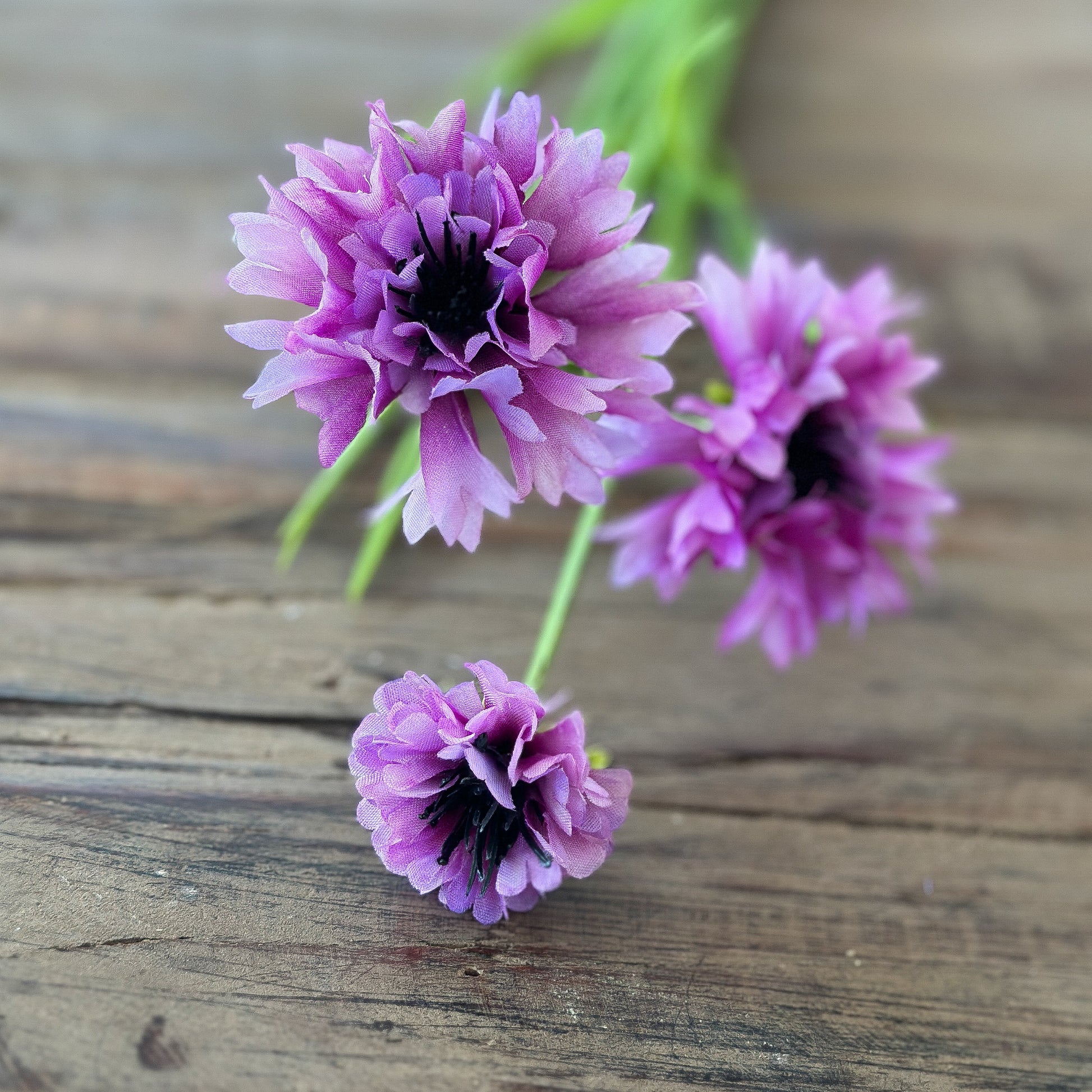 Künstlicher Kornblumen-Zweig "Sommerhauch" in 2 Farben, 70 cm lang, von Wohnen auf dem Land, ideal für Dekorationen