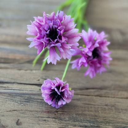 Künstlicher Kornblumen-Zweig "Sommerhauch" in 2 Farben, 70 cm lang, von Wohnen auf dem Land, ideal für Dekorationen