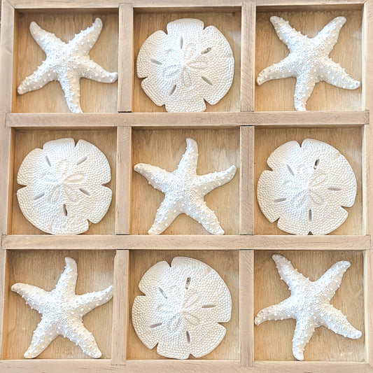Neun weiße Seestern- und Sanddollar-Dekorationen, 24 cm groß, von Wohnen auf dem Land, ideal für maritime Dekorationen