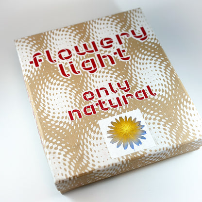 Leuchtstern Weihnachten "Shining Star Flowery Light" mit Kabel E14 2 Varianten