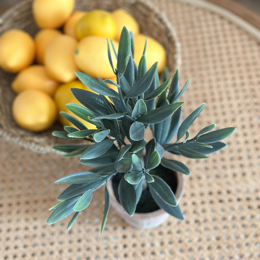 Künstlicher Olivenbaum im Zementtopf, 36 cm hoch, dekorative Kunstpflanze von Wohnen auf dem Land, realistisch und langlebig