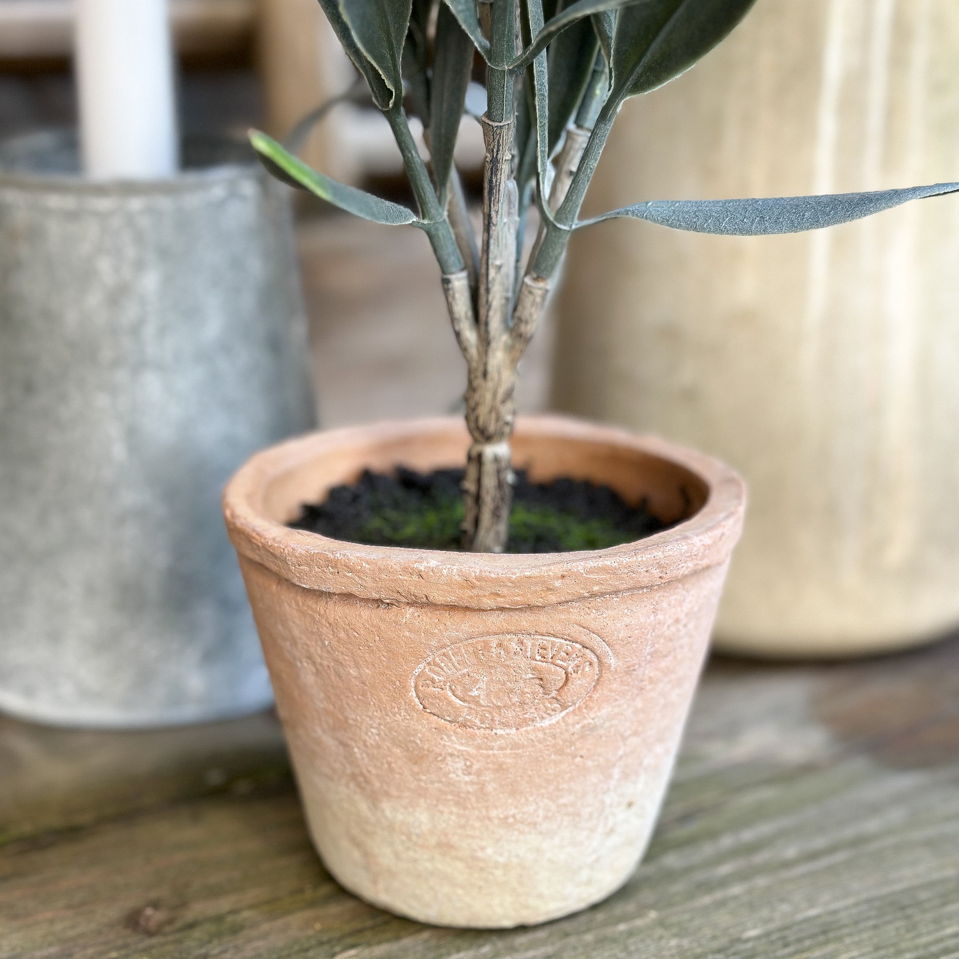 Künstlicher Olivenbaum im Zementtopf, 36 cm hoch, detailreiche Kunstpflanze für natürliche Dekoration.