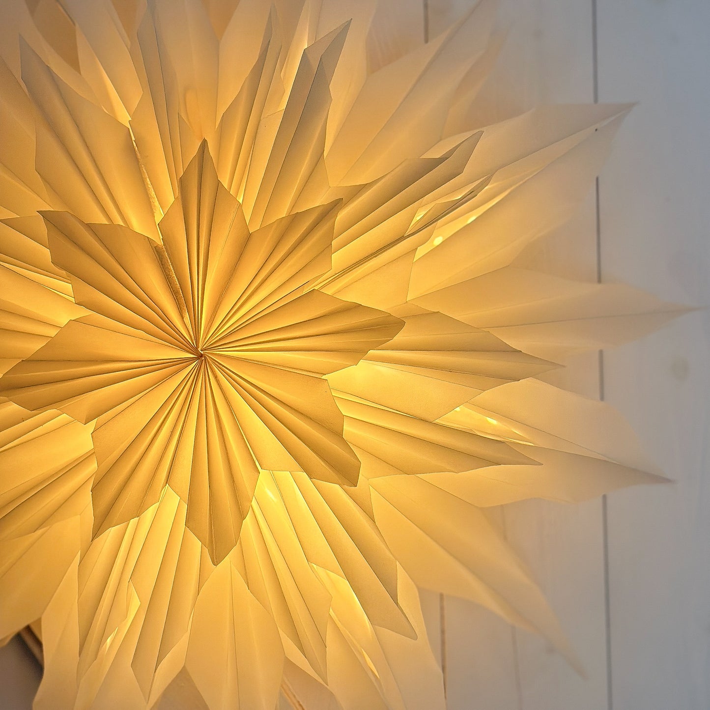 Leuchtstern Weihnachten "Shining Star Flowery Light" mit Kabel E14 2 Varianten