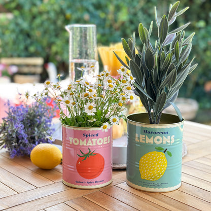 Zwei dekorative Metall-Aufbewahrungsdosen "Lemon and Tomato" von Rex London, mit gelben Zitronen- und roten Tomatenmotiven.