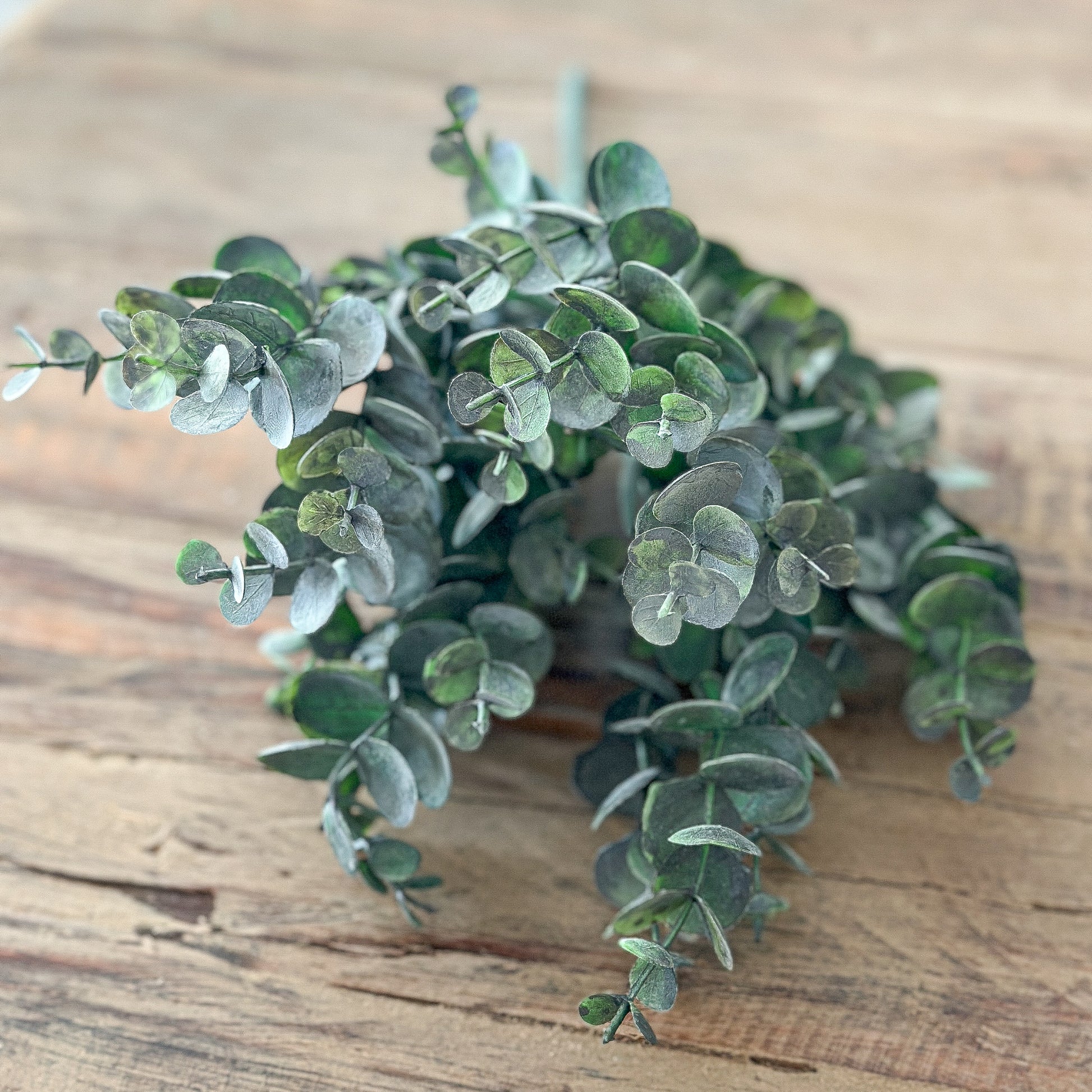 Künstlicher Eukalyptus Zweig Busch, 34 cm, grüne Kunstpflanze von Wohnen auf dem Land, detailreiche Nachbildung, ideal für Dekoration