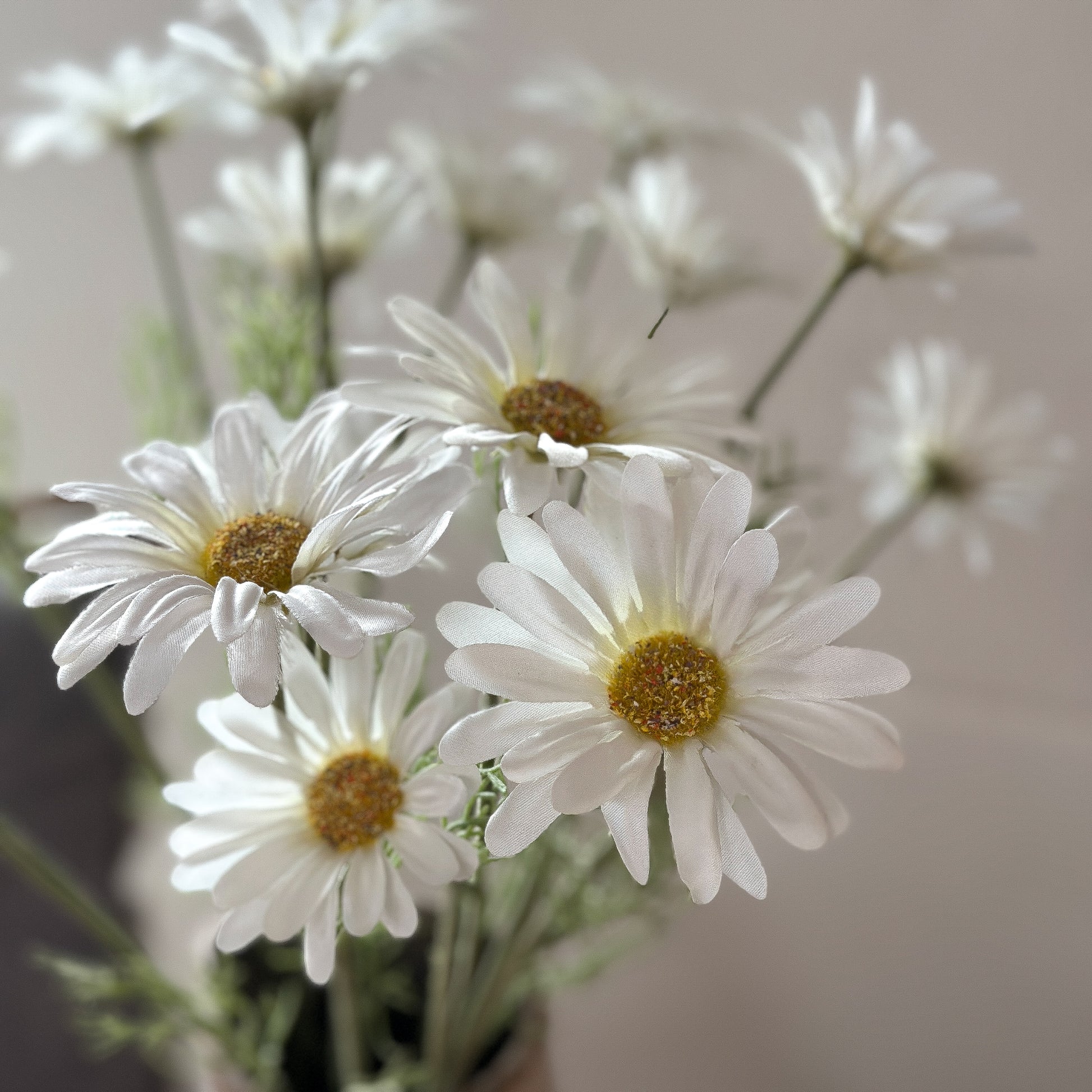Blume Zweig "Daisy Dreams" künstlich 2 Blüten weiß 56cm - Wohnen auf dem Land
