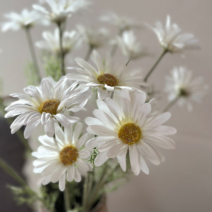 Blume Zweig "Daisy Dreams" künstlich 2 Blüten weiß 56cm - Wohnen auf dem Land