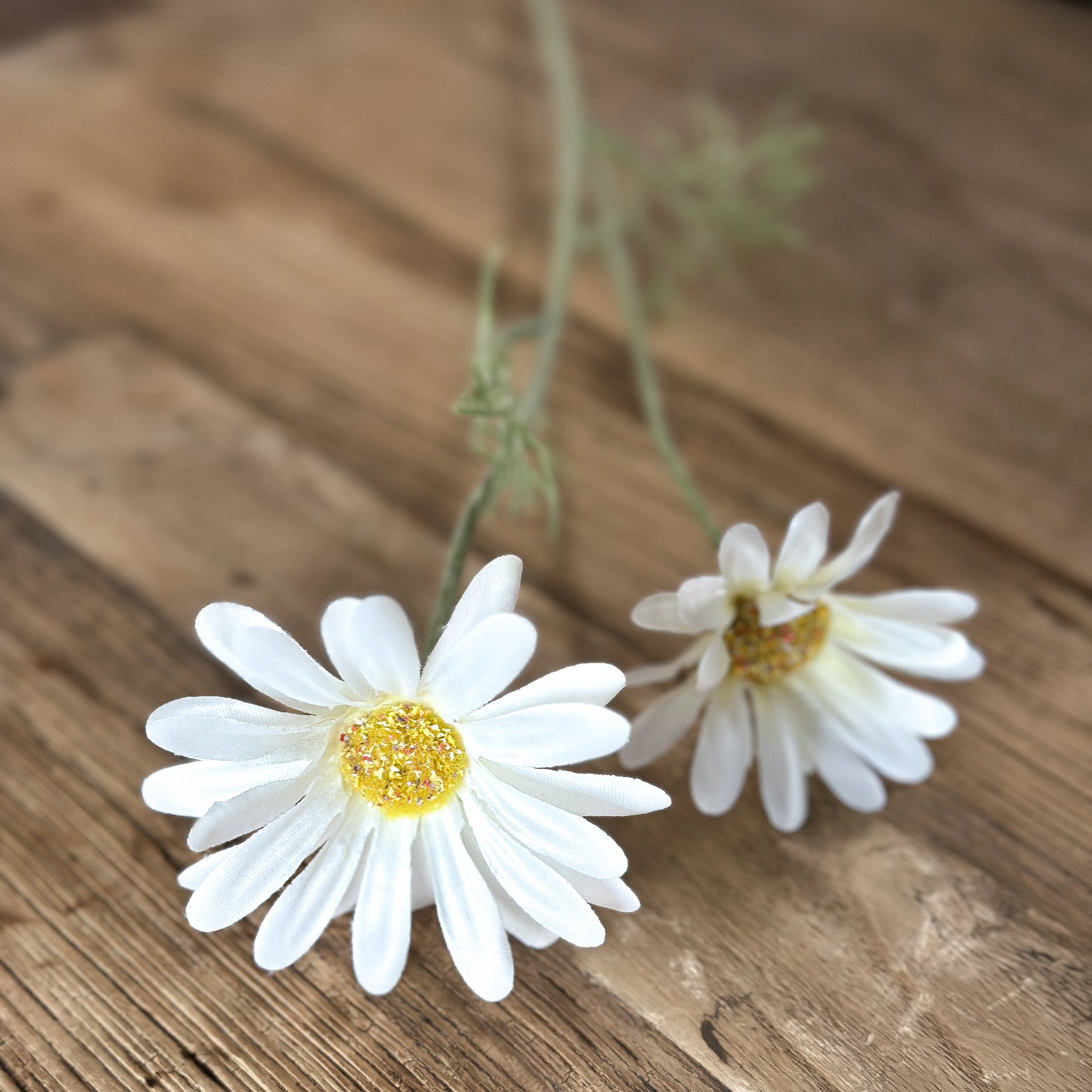 Blume Zweig "Daisy Dreams" künstlich 2 Blüten weiß 56cm - Wohnen auf dem Land