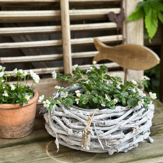 Weißer Pflanzkorb Kranz "Willow" aus Holz und Rattan, 28 cm Durchmesser, mit dekorativem, natürlichen Look