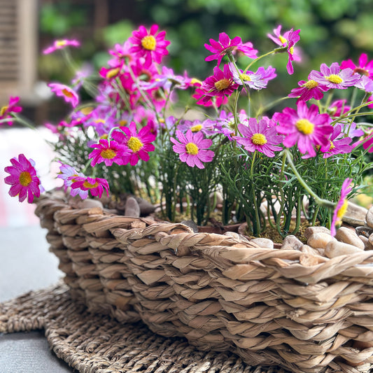Korb Pflanzkorb "Flores" Naturgeflecht braun klein 40cm