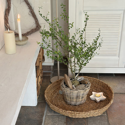 Mühlenbeckia im Topf "Maiden Hair" künstlich Grün 66cm