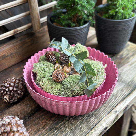 Schale Pflanzpot "Talinn" Kunststoff Pink 2 Größen