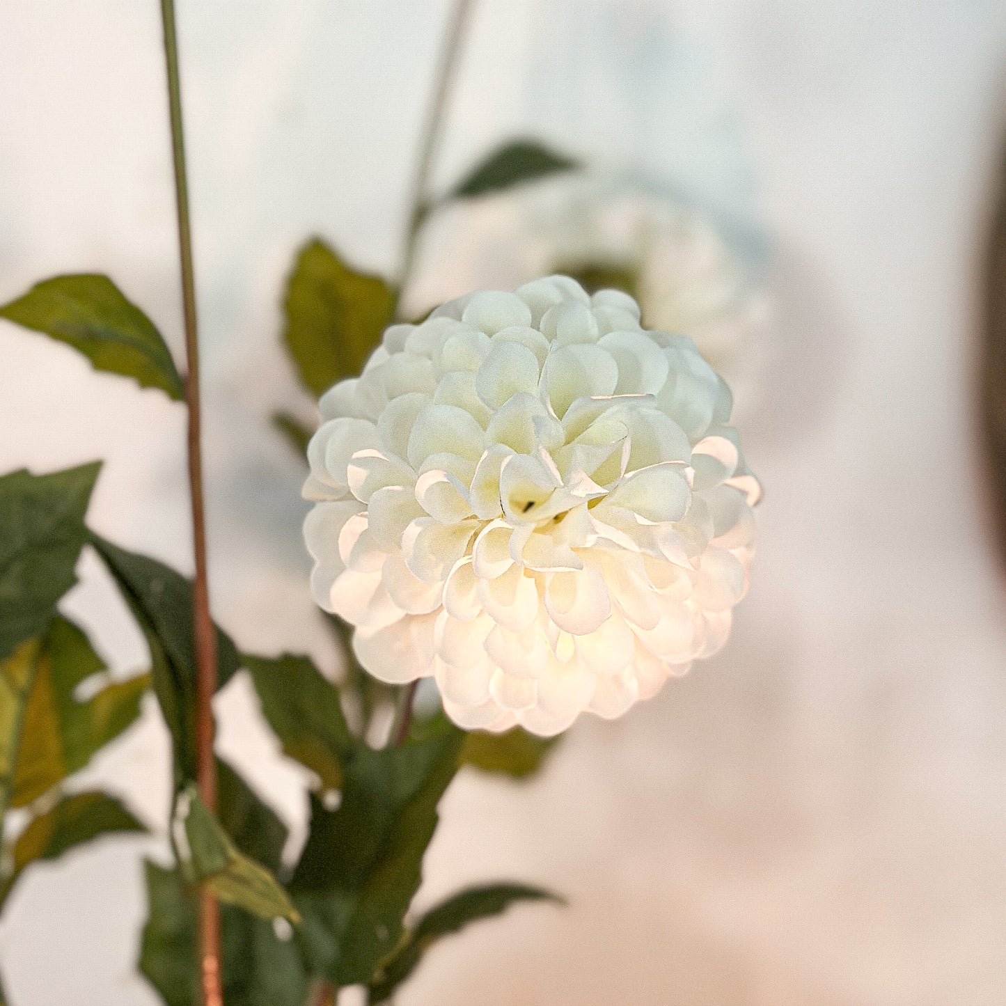 Blume Stiel Dahlie "Clara" künstlich weiß 60cm