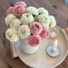 Blume Strauß Bund Zinnien 