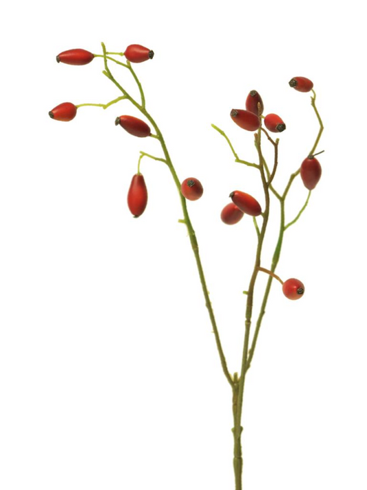Hagebutten Zweig "Herbstpoesie" künstlich rot klein 46cm