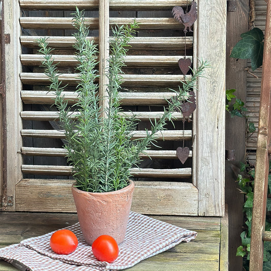 Künstlicher Rosmarin im Terrakotta-Topf, 51 cm hoch, grüne Pflanze für eine natürliche Dekoration in Wohnräumen.