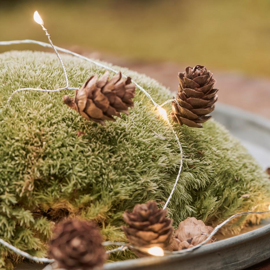 Lichterkette mit 10 LED-Lichtern und Zapfen für drinnen