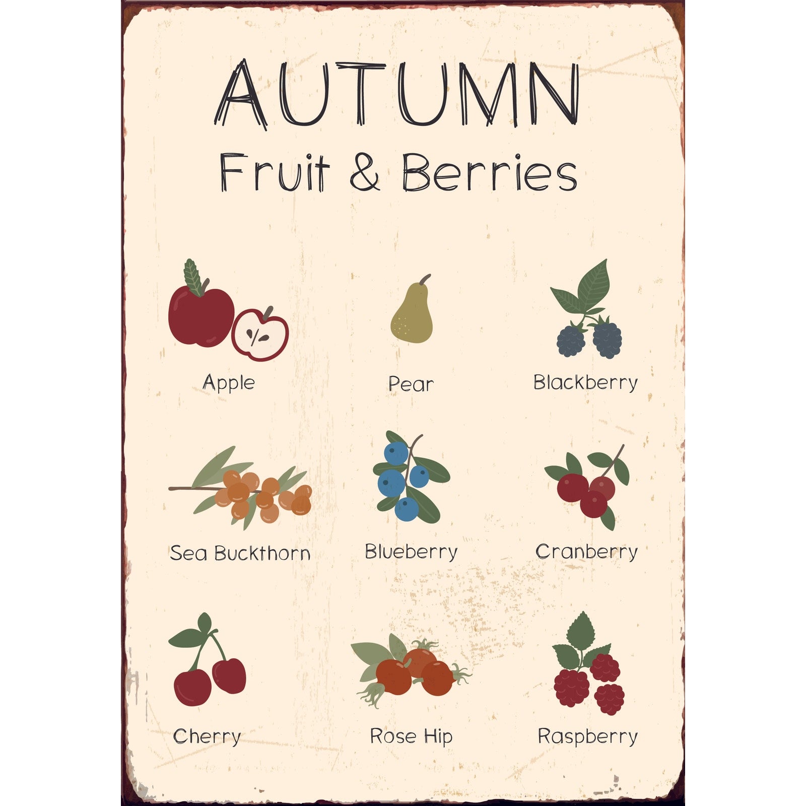 Metallschild "Autumn Fruit & Berries" Metall 20cm Produktansicht