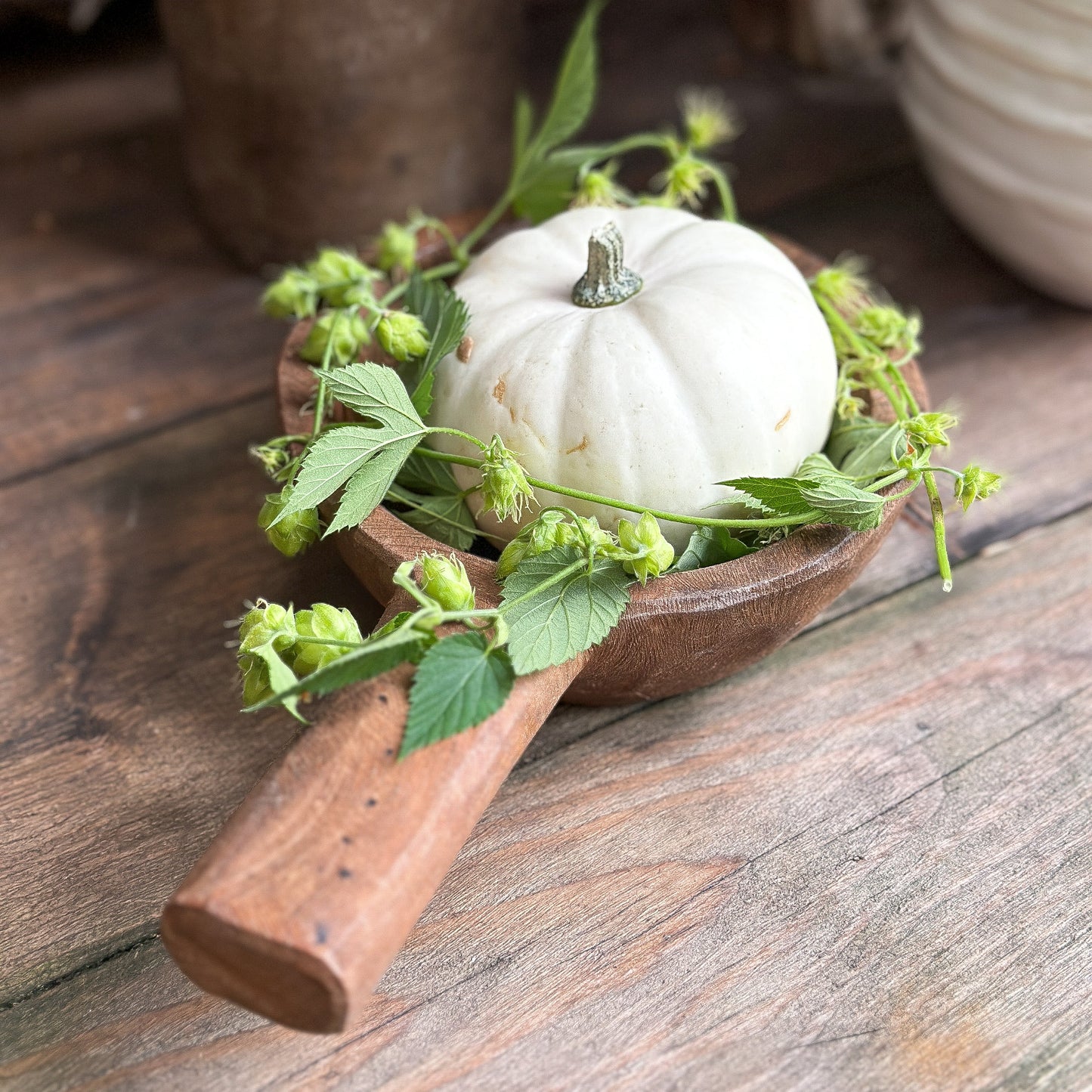 Weißer Baby Boo Kürbis mit Hopfen in einer Holzschale