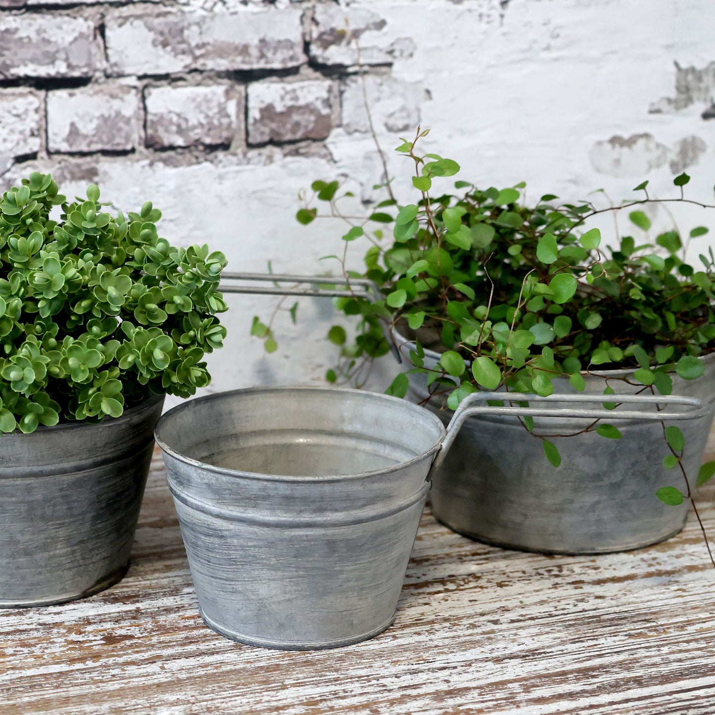 Blumentopf Pflanzpot "Antique" Zink Antik Grau 3er Set - Wohnen auf dem Land