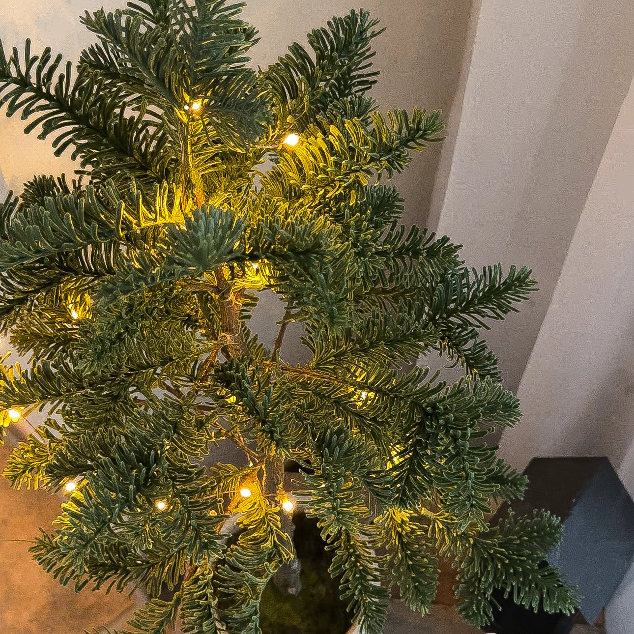 Warmweiße Copper Glow Lichterkette an einem Tannenbaum