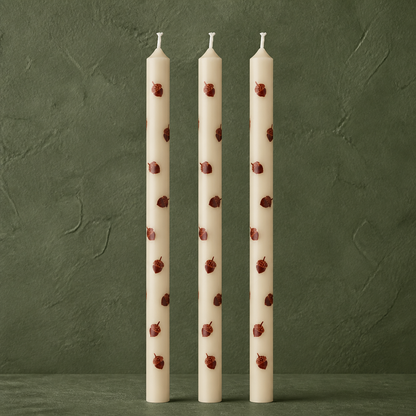 Dünne hohe Kerzen "Eichel" Stearin 20cm 3er Set – 01 freisteller