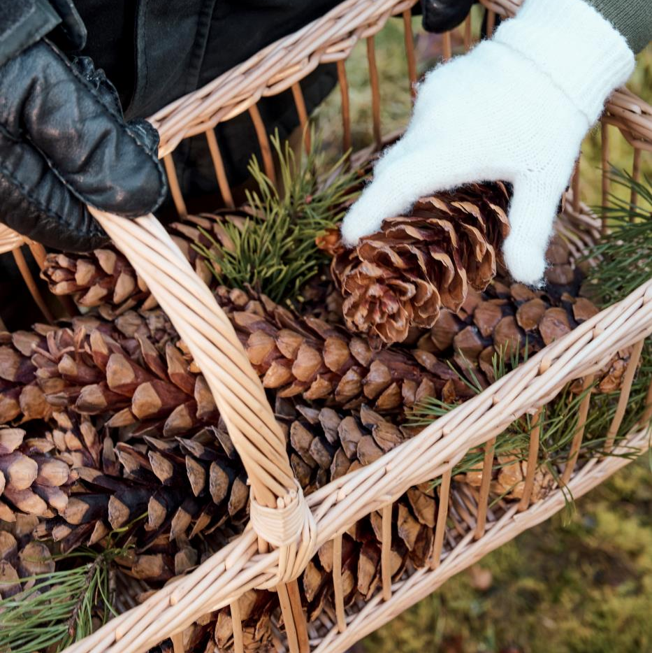 Korb länglich mit offenem Geflecht und Querhenkel - Wohnen auf dem Land