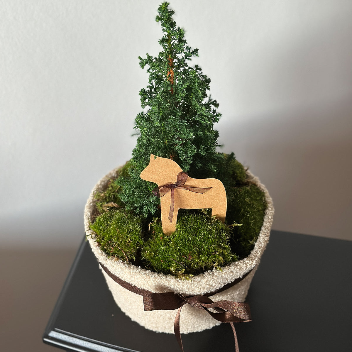 Dekorierte Teddy-Schale von oben mit Moos, grünem Bäumchen und brauner Schleife.