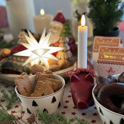 LED Einzelstern "Midi-Stern" 18 Zacken Indoor Outdoor Weiß 16cm - Wohnen auf dem Land